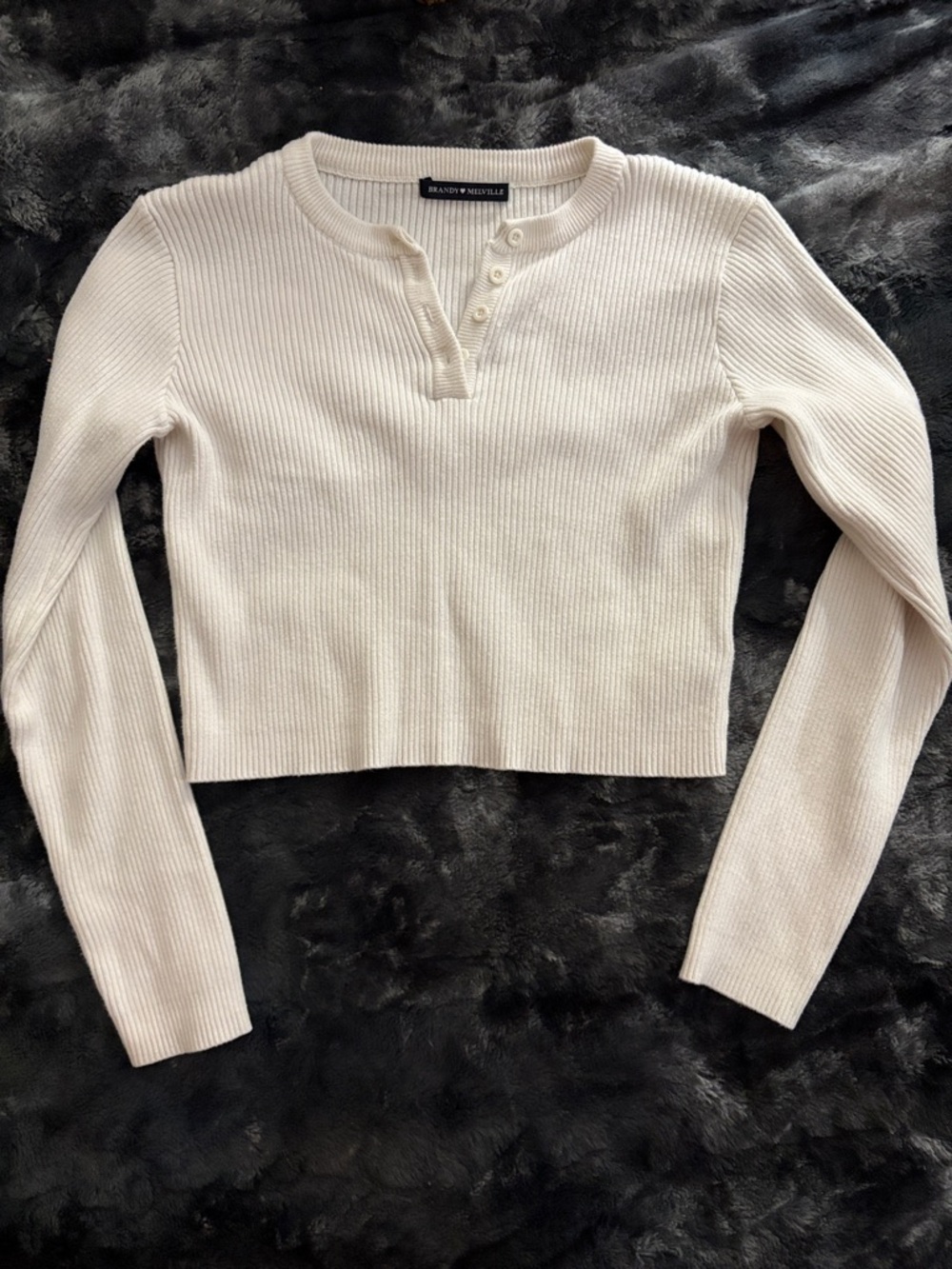 Brandy Melville Cropped Top